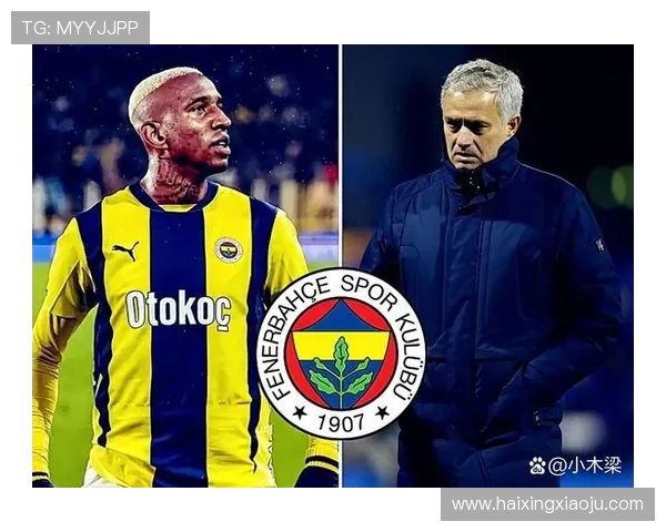 德甲历史上最佳球队评选结果与专家点评